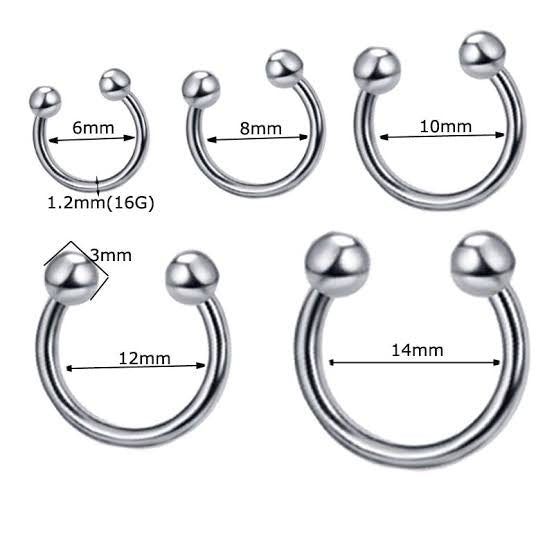 Titanium 16 Gauge Silver Horseshoes