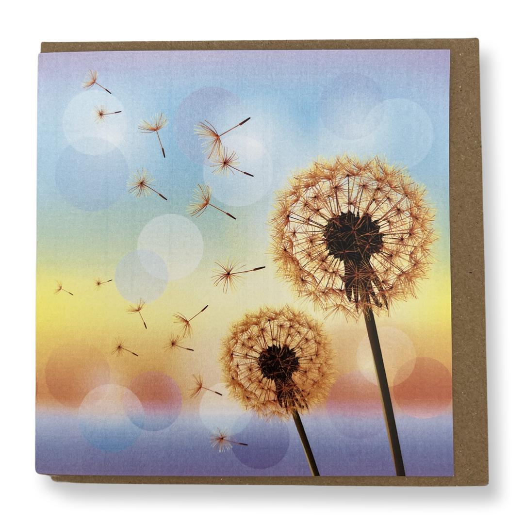 Dandelion Card
