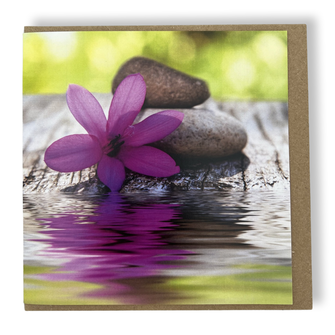 Flower On Rock Card