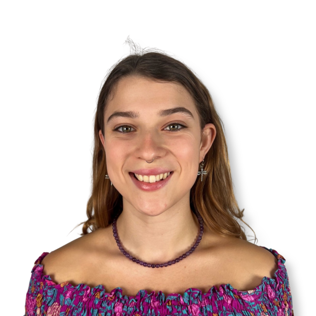 Amethyst Choker