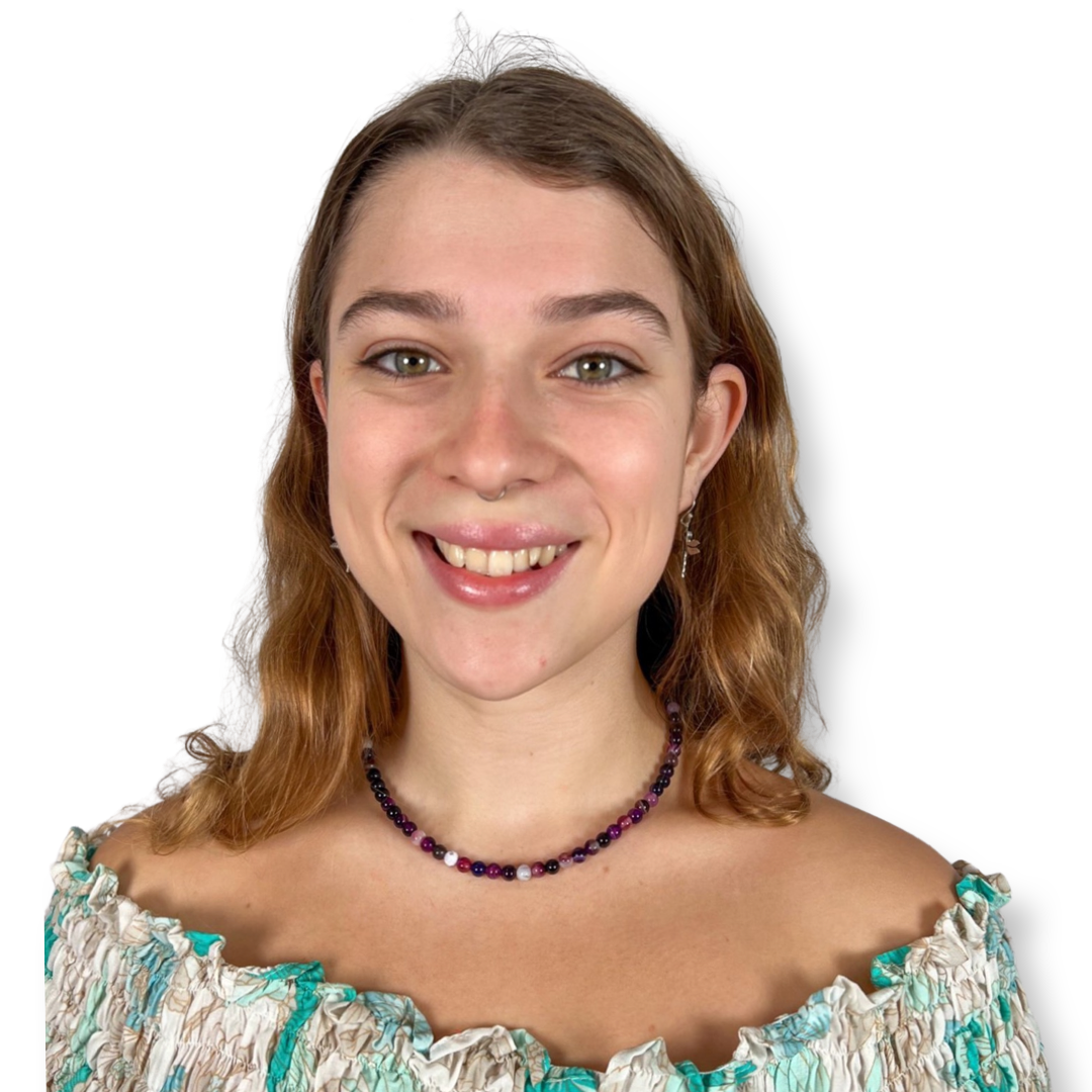 Agate Dyed Purple Choker