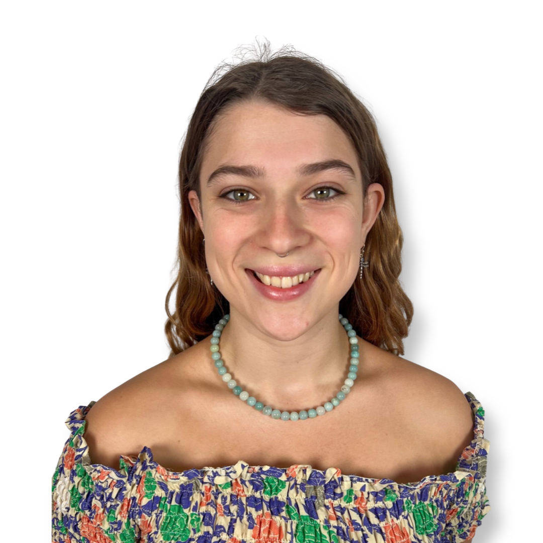 Amazonite Natural Choker