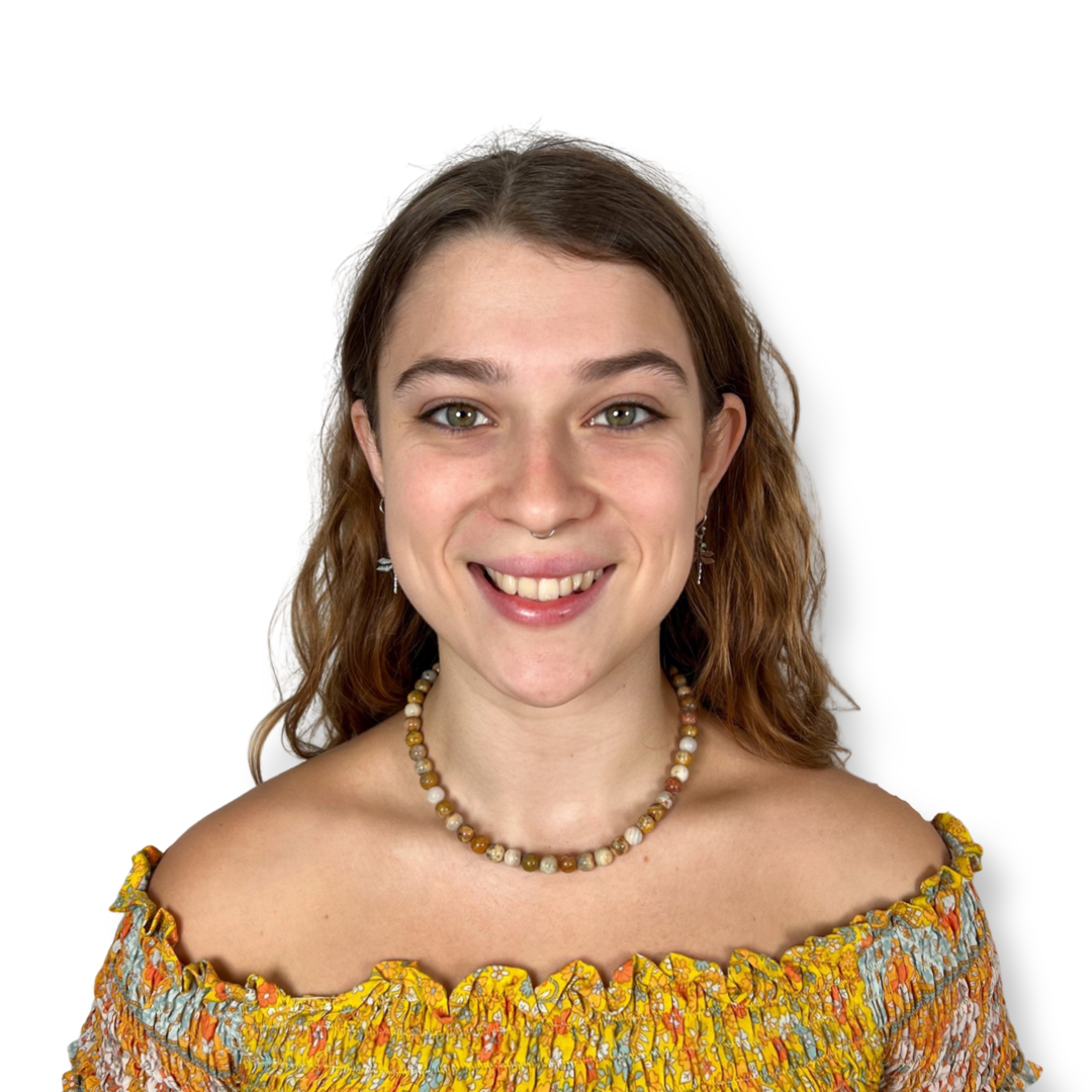 Crazy Lace Agate Choker