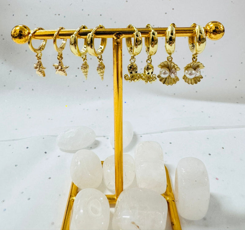 Earrings