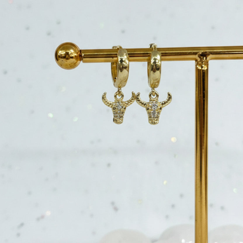 Gold Texas Earrings