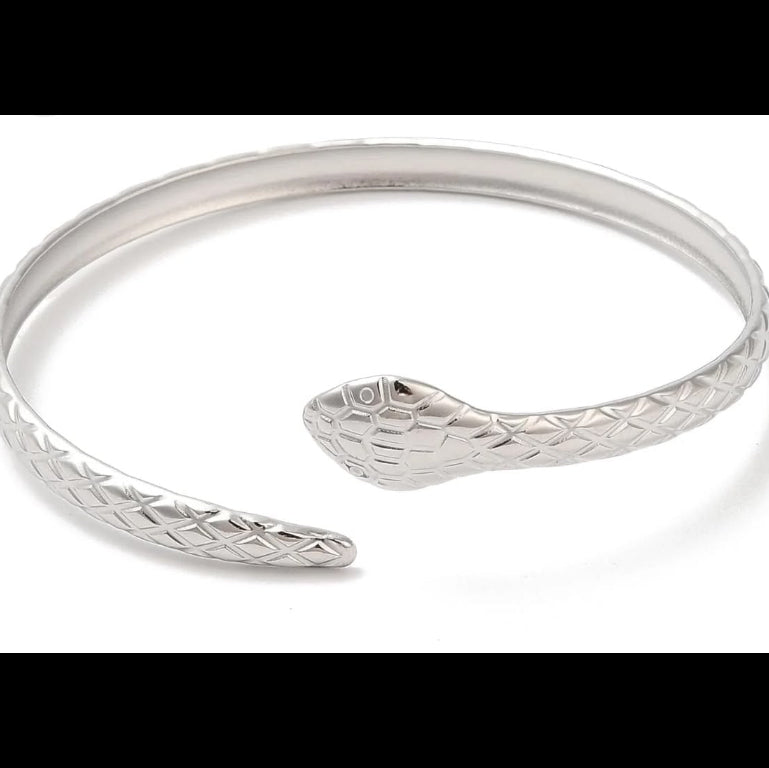 Detailed Snake Cuff Silver
