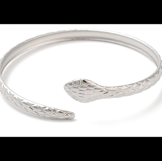 Detailed Snake Cuff Silver