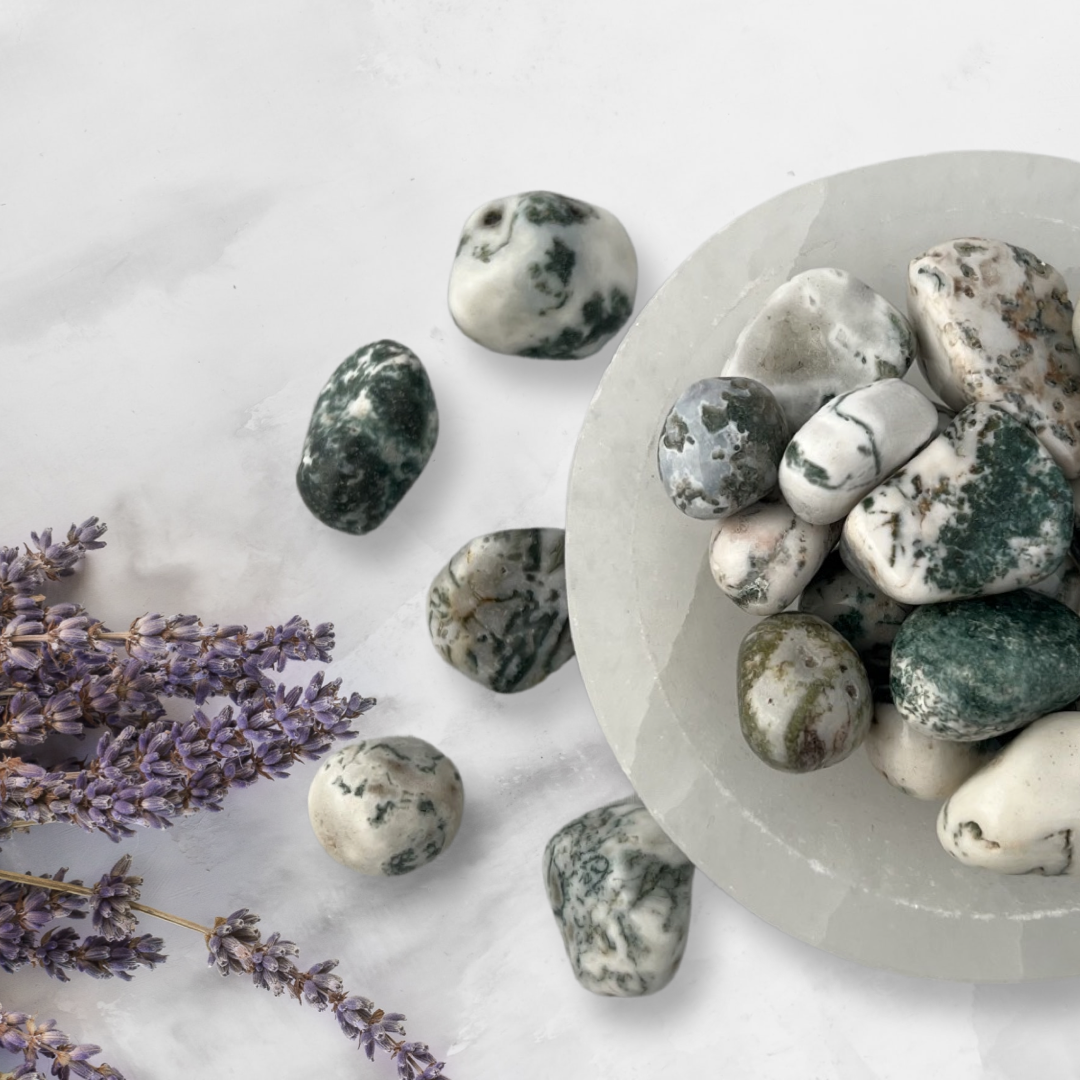 Argite Tree Tree Agate – Pushkar