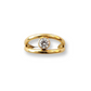 Morgie Gold